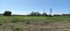 7133/3098/ODS - zdjęcie nr 1