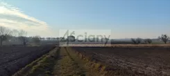 7567/3098/OGS - zdjęcie nr 3