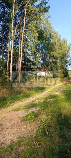 8890/3098/OGS - zdjęcie nr 3