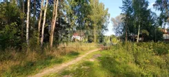9690/3098/OGS - zdjęcie nr 5
