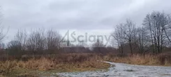 9986/3098/OGS - zdjęcie nr 3