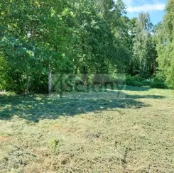 8367/3098/OGS - zdjęcie nr 1