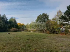 10231/3098/OGS - zdjęcie nr 2