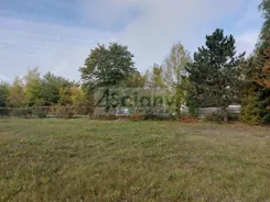 10231/3098/OGS - zdjęcie nr 3