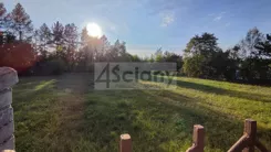 10231/3098/OGS - zdjęcie nr 4