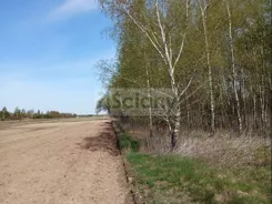 10160/3098/OGS - zdjęcie nr 5