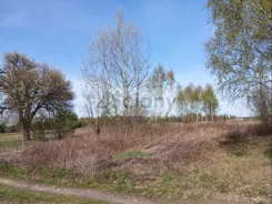 10190/3098/OGS - zdjęcie nr 5