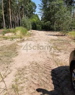7457/3098/OGS - zdjęcie nr 2