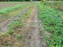 10671/3098/OGS - zdjęcie nr 1