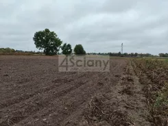 10673/3098/OGS - zdjęcie nr 1