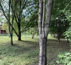 10583/3098/OGS - zdjęcie nr 3