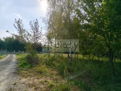 10570/3098/OGS - zdjęcie nr 2