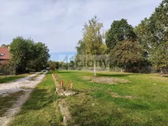 10669/3098/OGS - zdjęcie nr 2