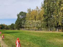 10669/3098/OGS - zdjęcie nr 3