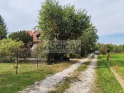 10669/3098/OGS - zdjęcie nr 4