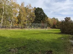 10669/3098/OGS - zdjęcie nr 5