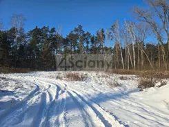 10400/3098/OGS - zdjęcie nr 1
