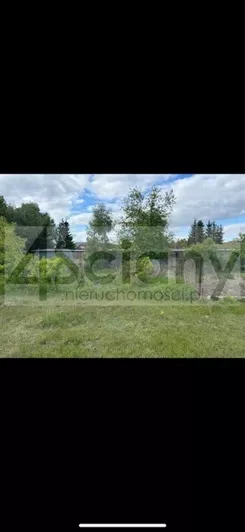 10186/3098/OGS - zdjęcie nr 2