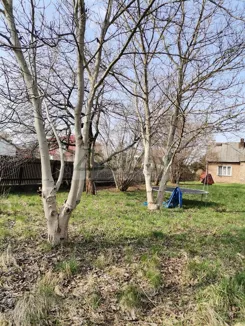 5182/3098/OGS - zdjęcie nr 0