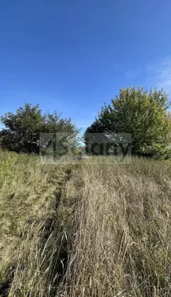 10262/3098/OGS - zdjęcie nr 3