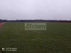 7918/3098/OGS - zdjęcie nr 3