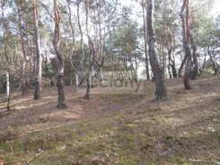 10521/3098/OGS - zdjęcie nr 1