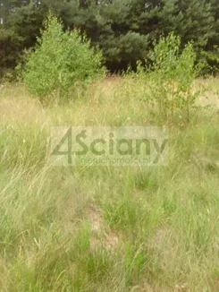 9536/3098/OGS - zdjęcie nr 0