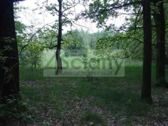8859/3098/OGS - zdjęcie nr 2
