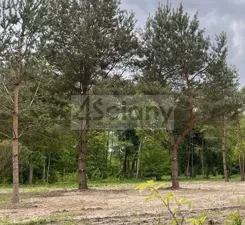 9983/3098/OGS - zdjęcie nr 2