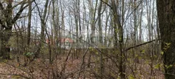 9589/3098/OGS - zdjęcie nr 1