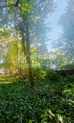 10295/3098/OGS - zdjęcie nr 1