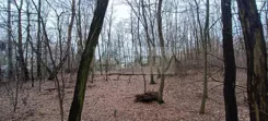 10360/3098/OGS - zdjęcie nr 3