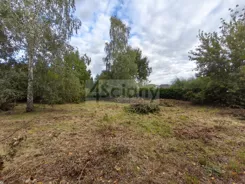 10556/3098/OGS - zdjęcie nr 1
