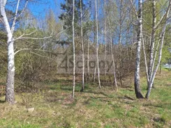 10495/3098/OGS - zdjęcie nr 2