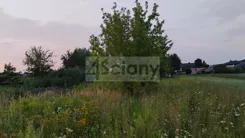 10136/3098/OGS - zdjęcie nr 3