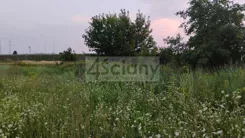 10136/3098/OGS - zdjęcie nr 5
