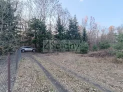 8707/3098/OGS - zdjęcie nr 4