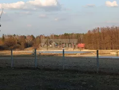 8710/3098/OGS - zdjęcie nr 2