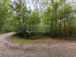 9599/3098/OGS - zdjęcie nr 1