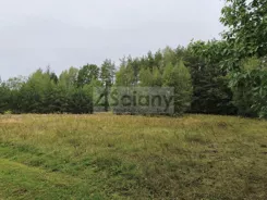 9599/3098/OGS - zdjęcie nr 4