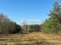 10428/3098/OGS - zdjęcie nr 1