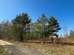 10428/3098/OGS - zdjęcie nr 2