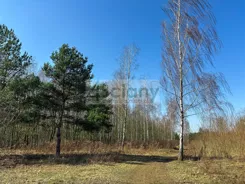 10428/3098/OGS - zdjęcie nr 4