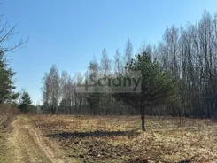 10434/3098/OGS - zdjęcie nr 5