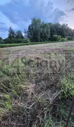 10201/3098/OGS - zdjęcie nr 2