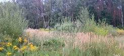 10623/3098/OGS - zdjęcie nr 1