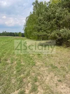 10027/3098/OGS - zdjęcie nr 3