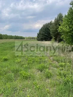 10027/3098/OGS - zdjęcie nr 4