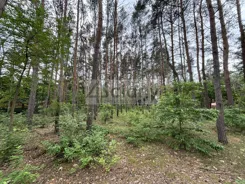 10543/3098/OGS - zdjęcie nr 2