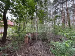 10543/3098/OGS - zdjęcie nr 4